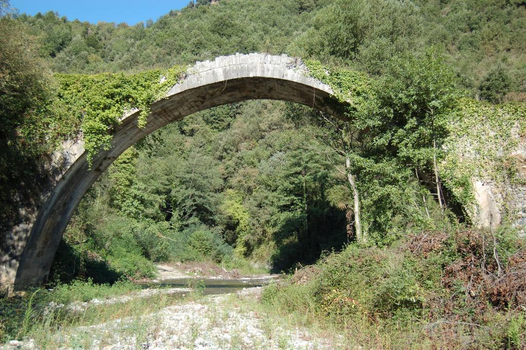 B&B Calabria Scigliano ภายนอก รูปภาพ