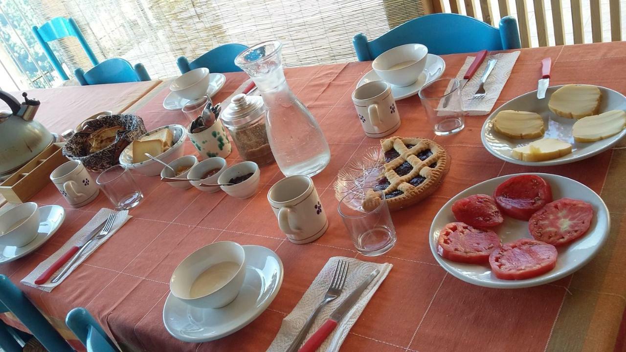 B&B Calabria Scigliano ภายนอก รูปภาพ