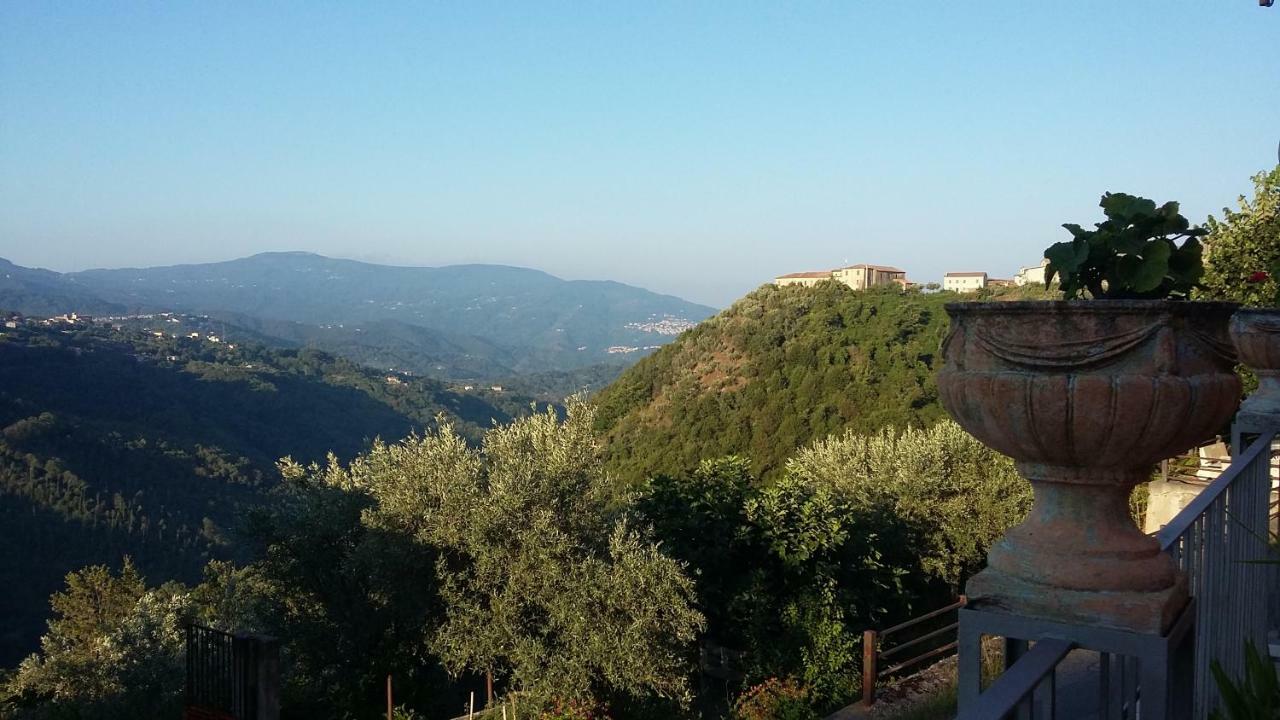B&B Calabria Scigliano ภายนอก รูปภาพ