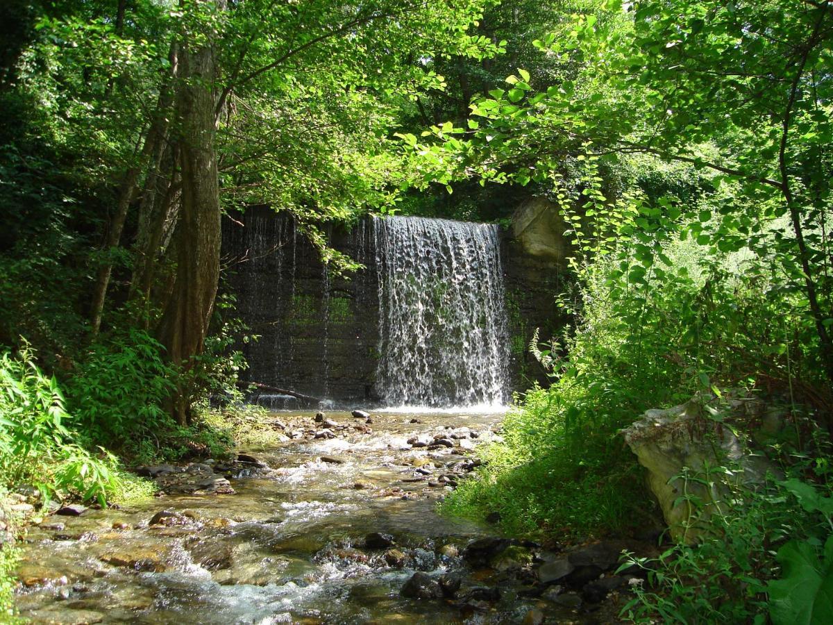 B&B Calabria Scigliano ภายนอก รูปภาพ